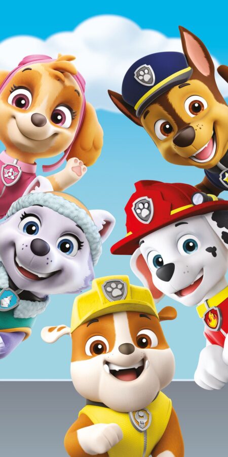 Paw Patrol Strandlaken team 70 x 140 cm