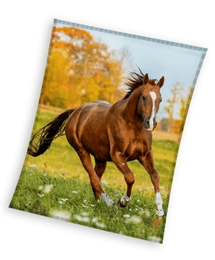 Sweet Home fleeceplaid Paard meerkleurig 150x200cm
