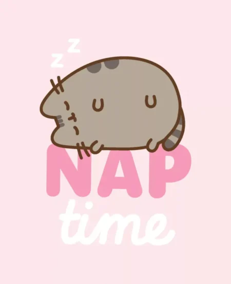 Pusheen fleeceplaid NAP 130x160cm