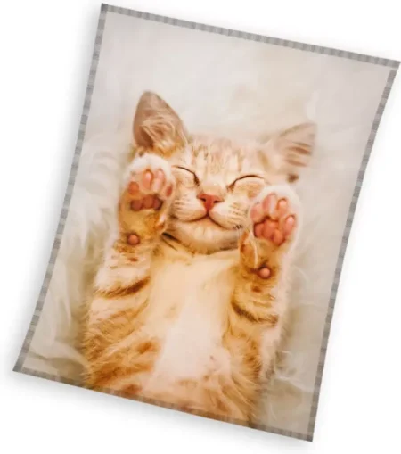 Fleece deken dromerige kat 130 x 170 cm