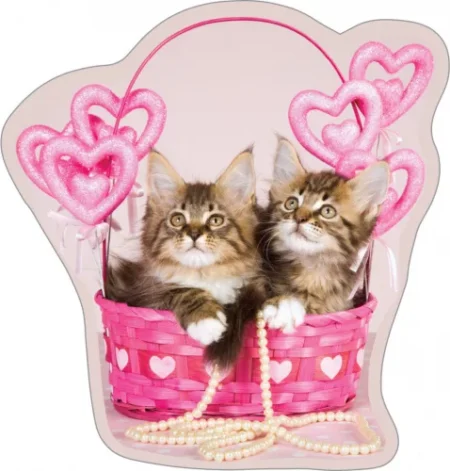 Katten Love sierkussen 35X40 cm